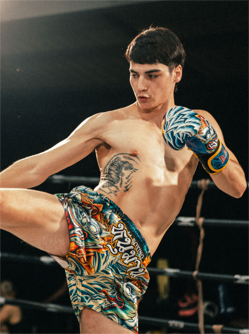 boxer